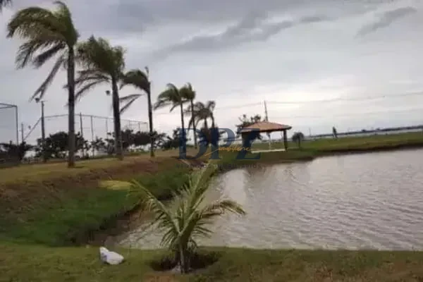 Imagens do imóveis EXCELENTE FAZENDA COM PISTA DE POUSO A VENDA NA REGIÃO DE PRESIDENTE-SP