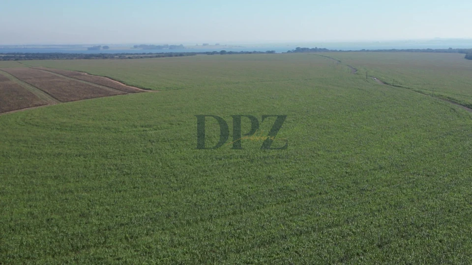 Imagens do imóveis EXCELENTE FAZENDA À VENDA EM SERTANEJA-PR
