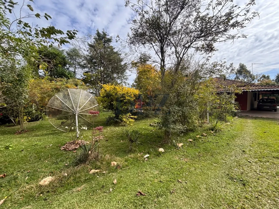 Imagens do imóveis Fazenda/Sítios/Chácaras À Venda Cerro Guarei