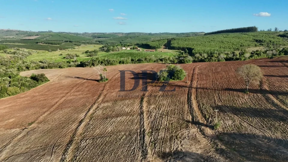 Imagens do imóveis Excelente Fazenda À Venda em Angatuba-SP