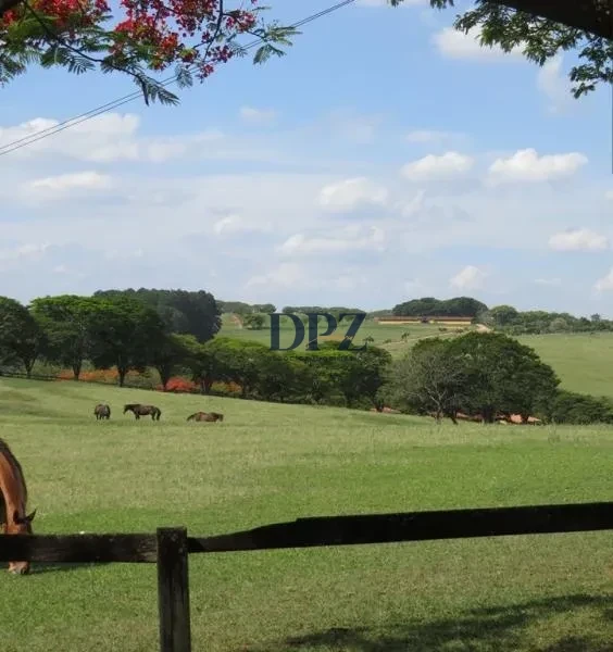 Haras de Alto Padrão a Venda na Região de Campinas-SP