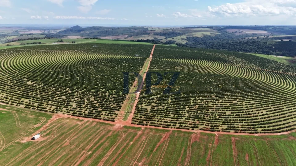 Imagens do imóveis EXCELENTE FAZENDA À VENDA NA REGIÃO DE AVARÉ-SP