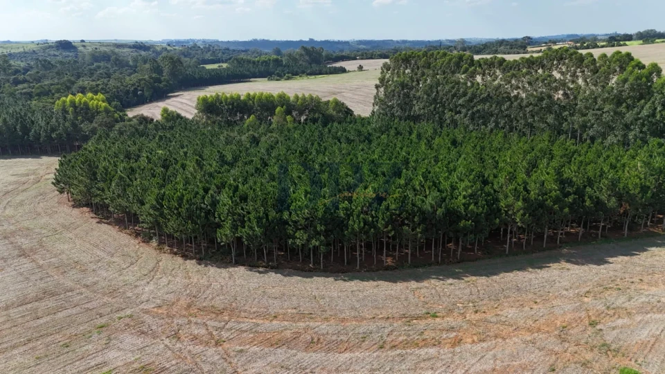 Imagens do imóveis EXCELENTE SÍTIO A VENDA EM ITAPETININGA/SP