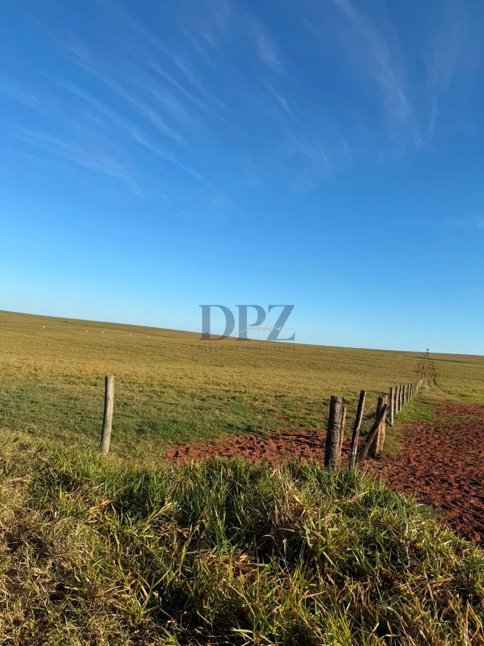 Imagens do imóveis Fazenda À Venda Área Rural De Teodoro Sampaio Teodoro Sampaio