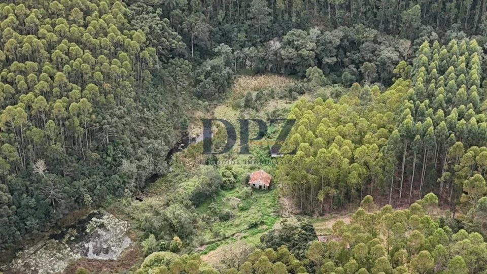 EXCELENTE FAZENDA COM EUCALIPTO A VENDA NA REGIÃO DE ITAPEVA-SP