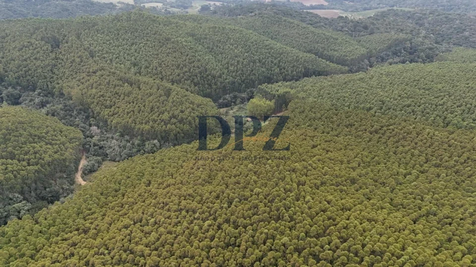 EXCELENTE FAZENDA COM EUCALIPTO A VENDA NA REGIÃO DE ITAPEVA-SP