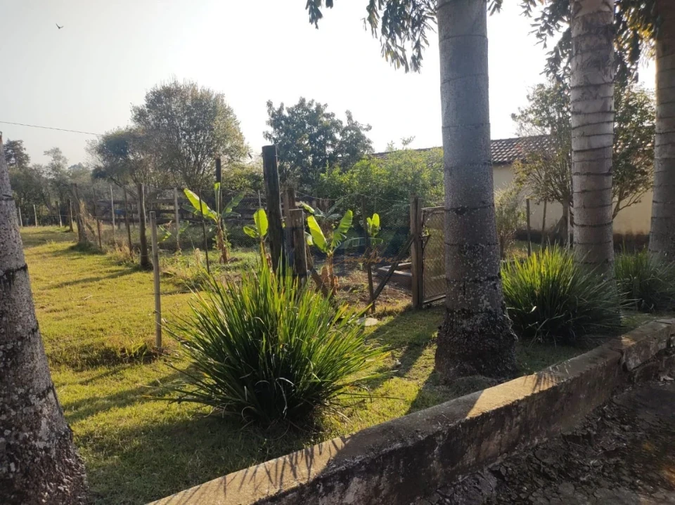 Fazenda/Sítios/Chácaras À Venda Ribeirãozinho Alambari