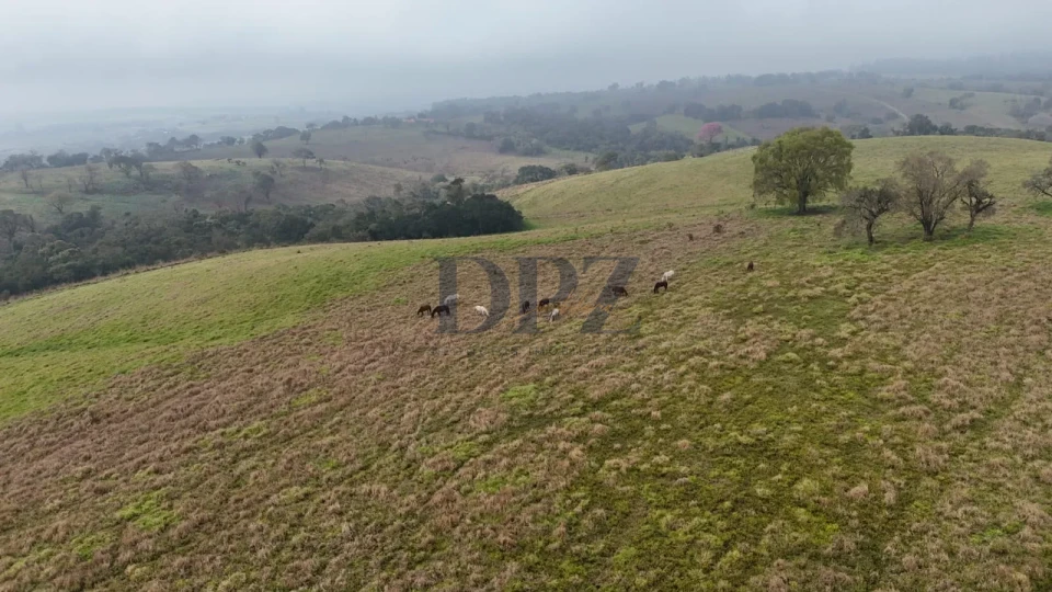 EXCELENTE SÍTIO A VENDA NA REGIÃO DE TATUÍ-SP