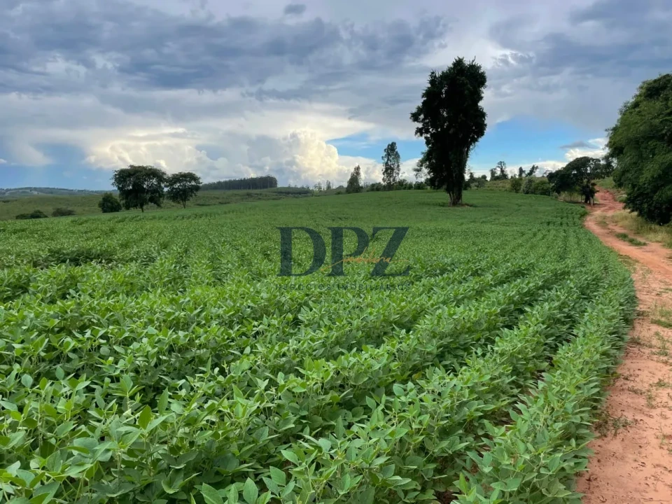 Imagens do imóveis Excelente Fazenda À Venda em Angatuba-SP