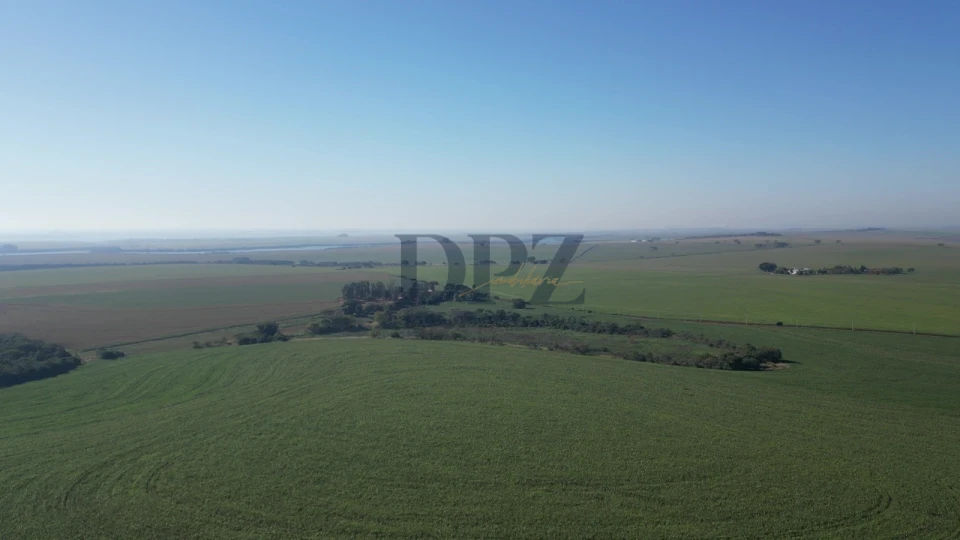 Imagens do imóveis EXCELENTE FAZENDA À VENDA EM SERTANEJA-PR