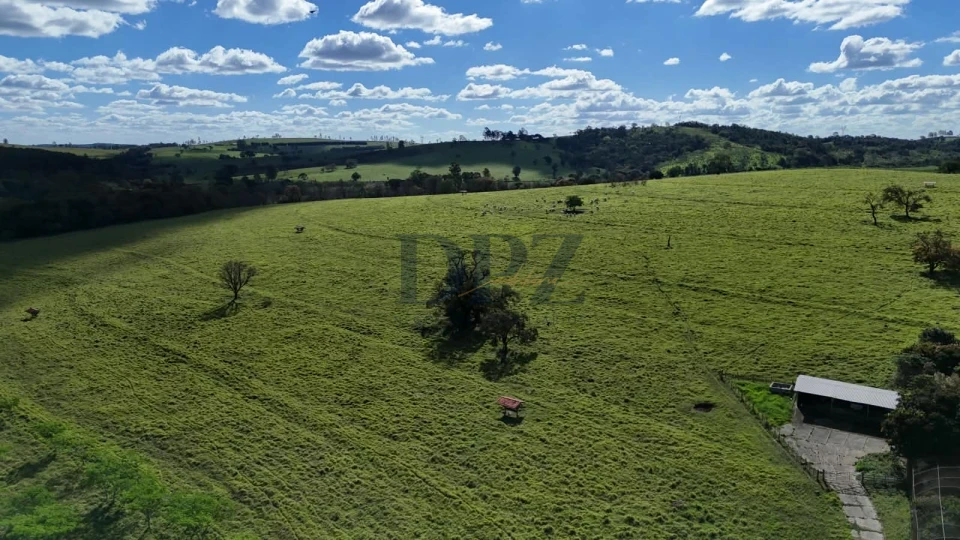 EXCELENTE FAZENDA LEITEIRA E PECUÁRIA A VENDA NA REGIÃO DE ITAPETININGA-SP