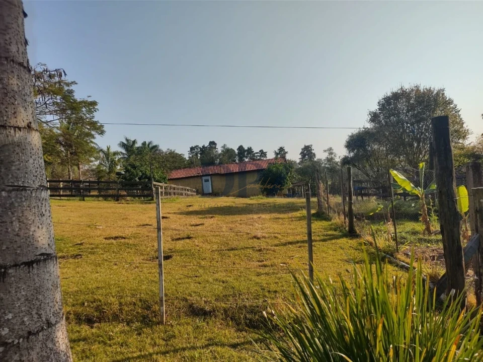 Fazenda/Sítios/Chácaras À Venda Ribeirãozinho Alambari