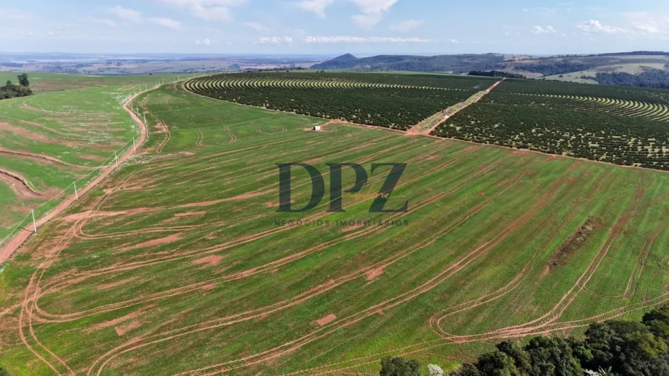 Imagens do imóveis EXCELENTE FAZENDA À VENDA NA REGIÃO DE AVARÉ-SP