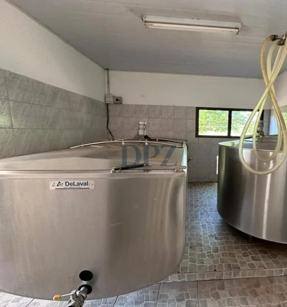 EXCELENTE FAZENDA LEITEIRA E PECUÁRIA A VENDA NA REGIÃO DE ITAPETININGA-SP