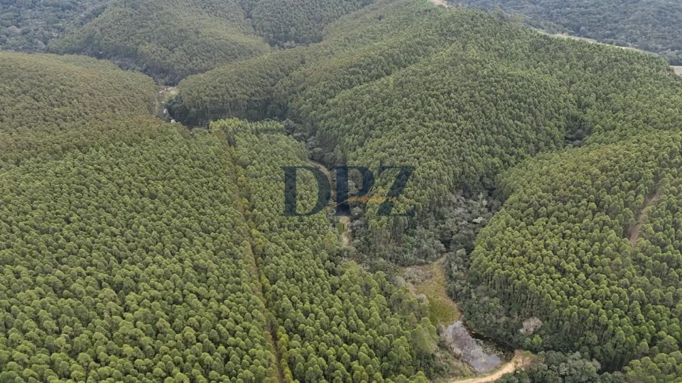 EXCELENTE FAZENDA COM EUCALIPTO A VENDA NA REGIÃO DE ITAPEVA-SP