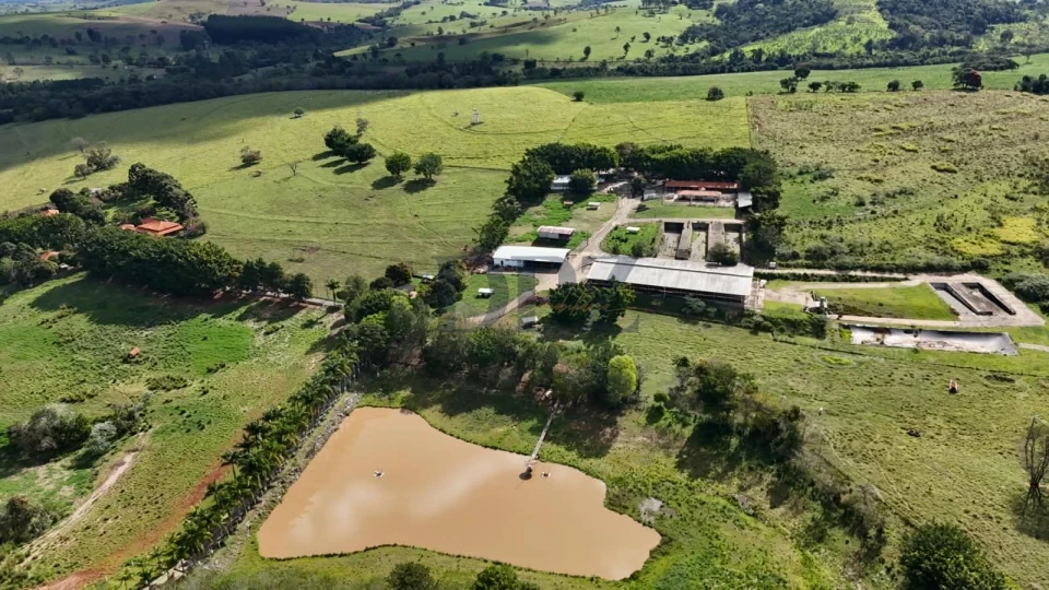 EXCELENTE FAZENDA LEITEIRA E PECUÁRIA A VENDA NA REGIÃO DE ITAPETININGA-SP