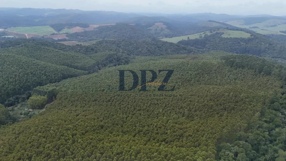 EXCELENTE FAZENDA COM EUCALIPTO A VENDA NA REGIÃO DE ITAPEVA-SP