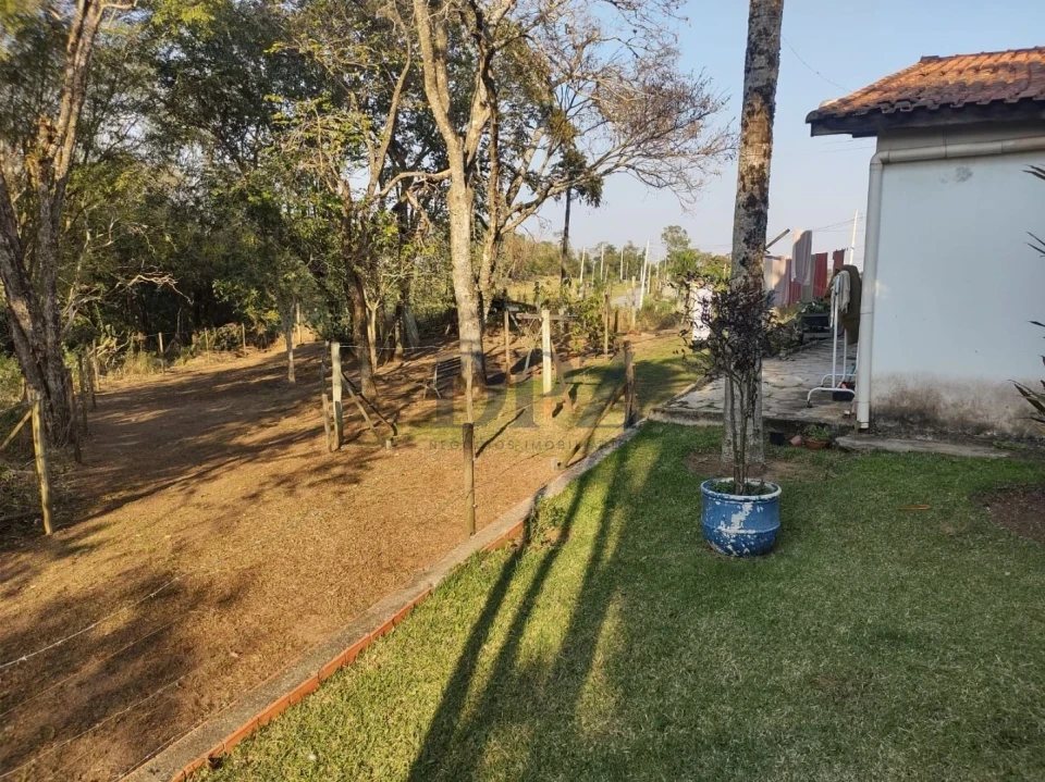 Fazenda/Sítios/Chácaras À Venda Ribeirãozinho Alambari