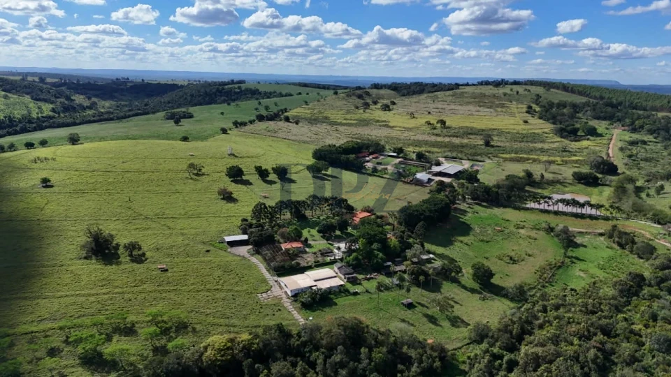 EXCELENTE FAZENDA LEITEIRA E PECUÁRIA A VENDA NA REGIÃO DE ITAPETININGA-SP