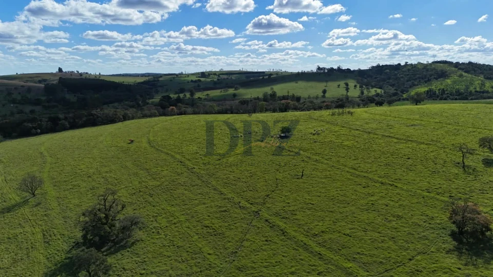 EXCELENTE FAZENDA LEITEIRA E PECUÁRIA A VENDA NA REGIÃO DE ITAPETININGA-SP