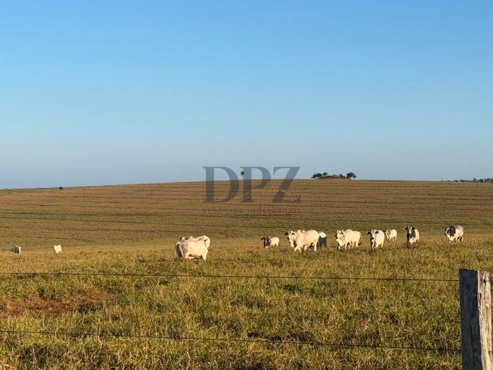 Imagens do imóveis Fazenda À Venda Área Rural De Teodoro Sampaio Teodoro Sampaio