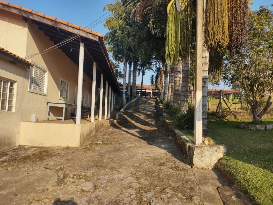 Fazenda/Sítios/Chácaras À Venda Ribeirãozinho Alambari