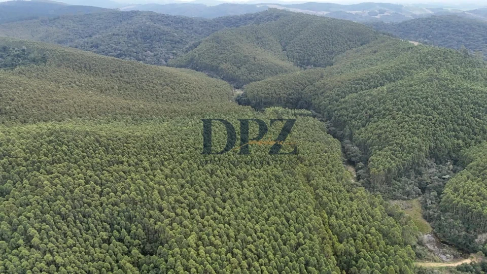 EXCELENTE FAZENDA COM EUCALIPTO A VENDA NA REGIÃO DE ITAPEVA-SP