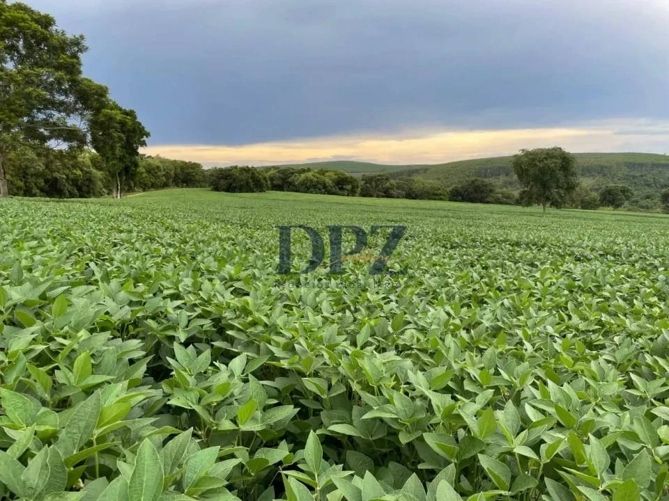 Imagens do imóveis Excelente Fazenda À Venda em Angatuba-SP