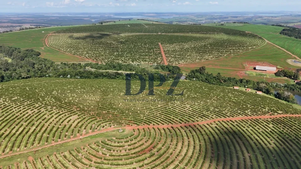 Imagens do imóveis EXCELENTE FAZENDA À VENDA NA REGIÃO DE AVARÉ-SP