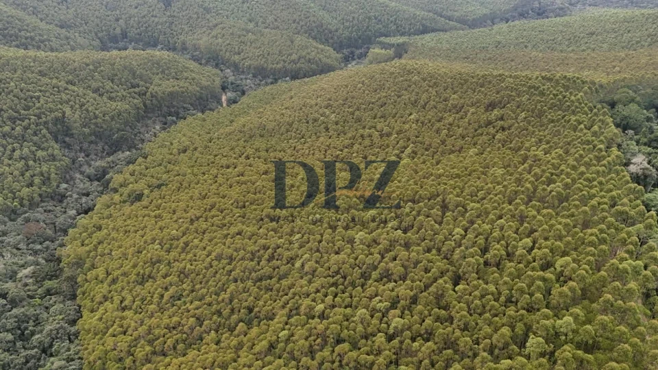 EXCELENTE FAZENDA COM EUCALIPTO A VENDA NA REGIÃO DE ITAPEVA-SP