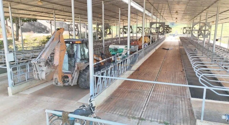 EXCELENTE FAZENDA LEITEIRA E PECUÁRIA A VENDA NA REGIÃO DE ITAPETININGA-SP