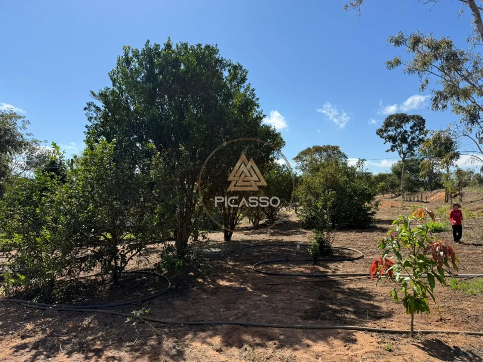 Imagens do imóveis Fazenda/Sítios/Chácaras À Venda 000 Poxoreu