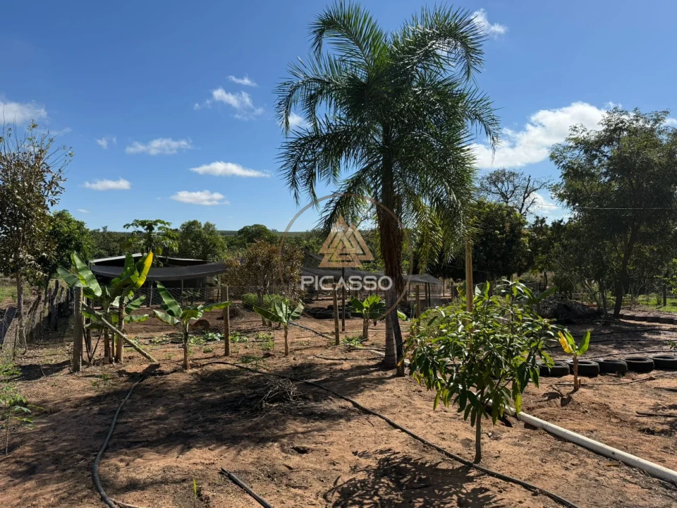 Imagens do imóveis Fazenda/Sítios/Chácaras À Venda 000 Poxoreu