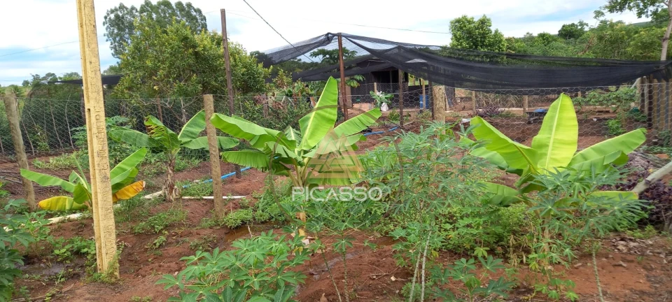 Imagens do imóveis Fazenda/Sítios/Chácaras À Venda 000 Poxoreu