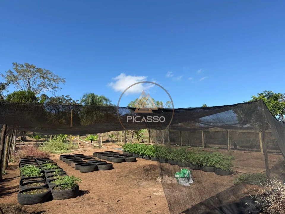 Imagens do imóveis Fazenda/Sítios/Chácaras À Venda 000 Poxoreu