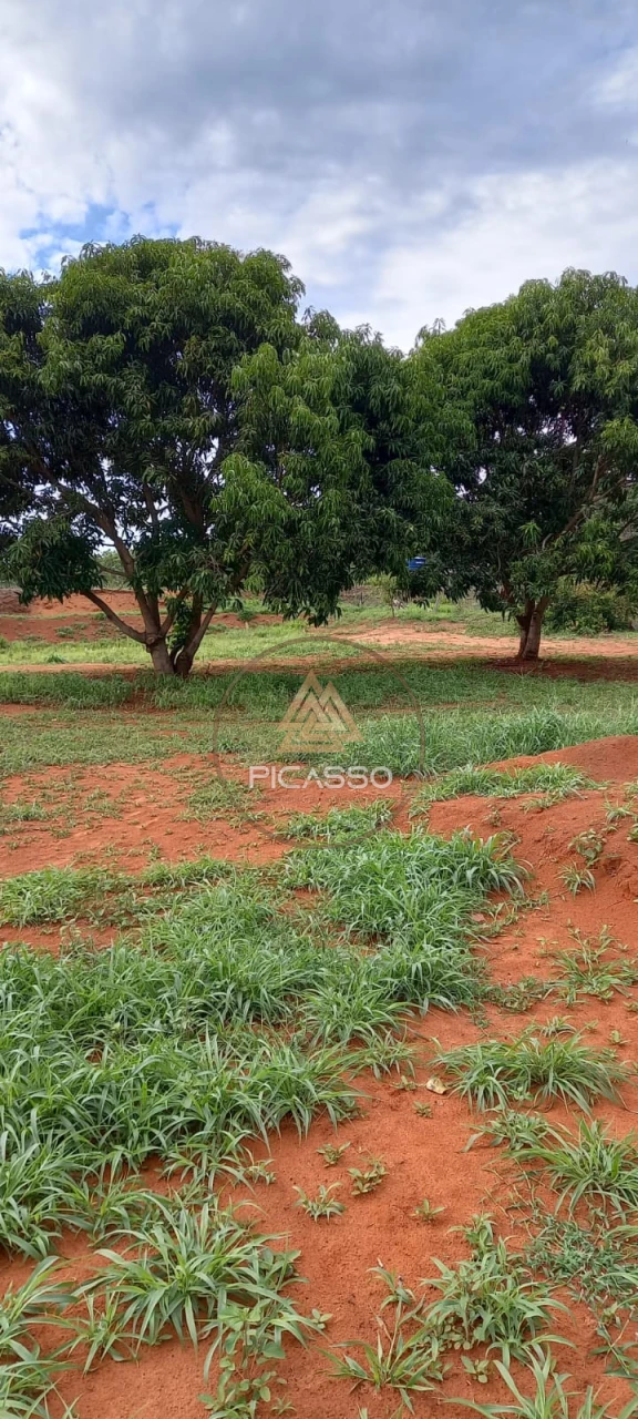 Imagens do imóveis Fazenda/Sítios/Chácaras À Venda 000 Poxoreu