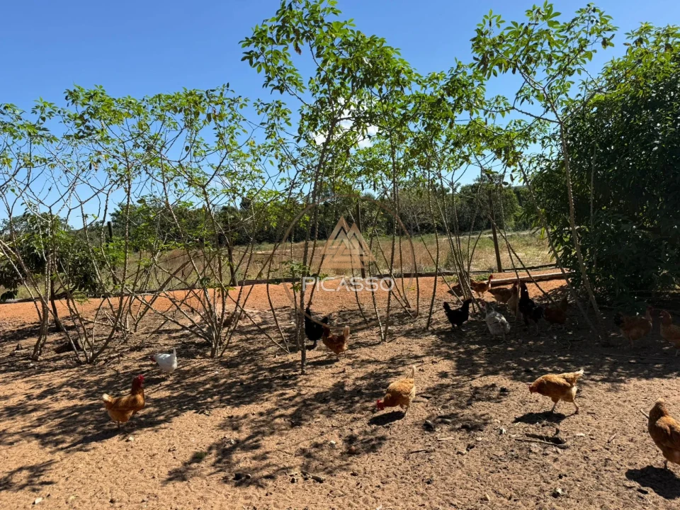 Imagens do imóveis Fazenda/Sítios/Chácaras À Venda 000 Poxoreu