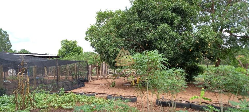 Imagens do imóveis Fazenda/Sítios/Chácaras À Venda 000 Poxoreu