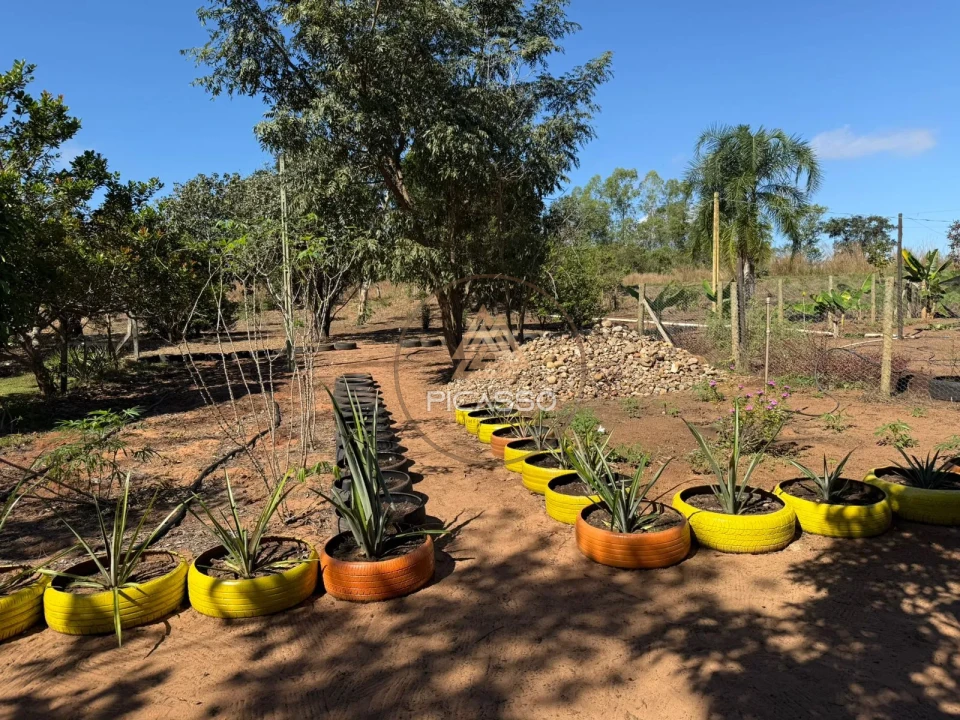 Imagens do imóveis Fazenda/Sítios/Chácaras À Venda 000 Poxoreu