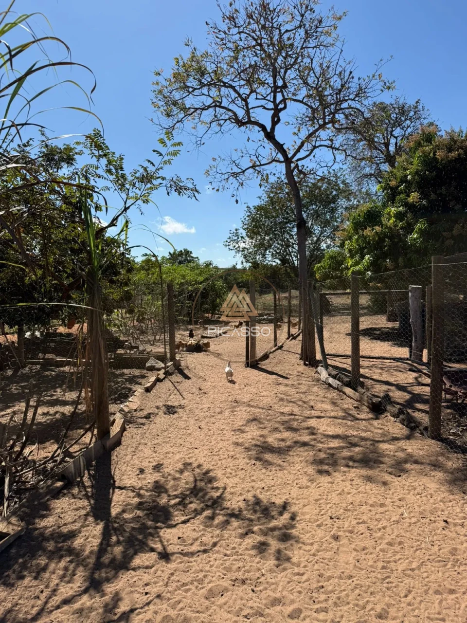 Imagens do imóveis Fazenda/Sítios/Chácaras À Venda 000 Poxoreu