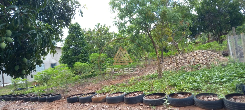 Imagens do imóveis Fazenda/Sítios/Chácaras À Venda 000 Poxoreu