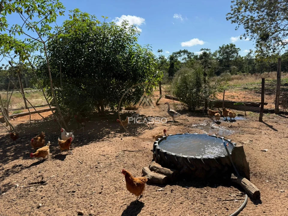 Imagens do imóveis Fazenda/Sítios/Chácaras À Venda 000 Poxoreu