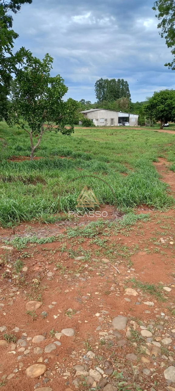 Imagens do imóveis Fazenda/Sítios/Chácaras À Venda 000 Poxoreu