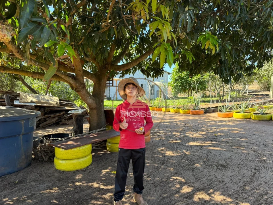Imagens do imóveis Fazenda/Sítios/Chácaras À Venda 000 Poxoreu