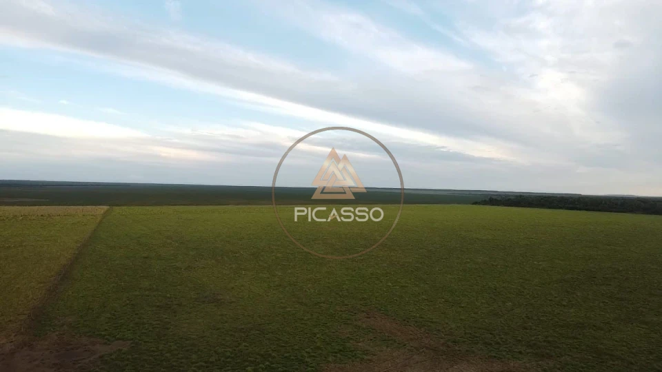 Imagens do imóveis ÓTIMA FAZENDA PARA VENDA NO INTERIOR DO MATO GROSSO
