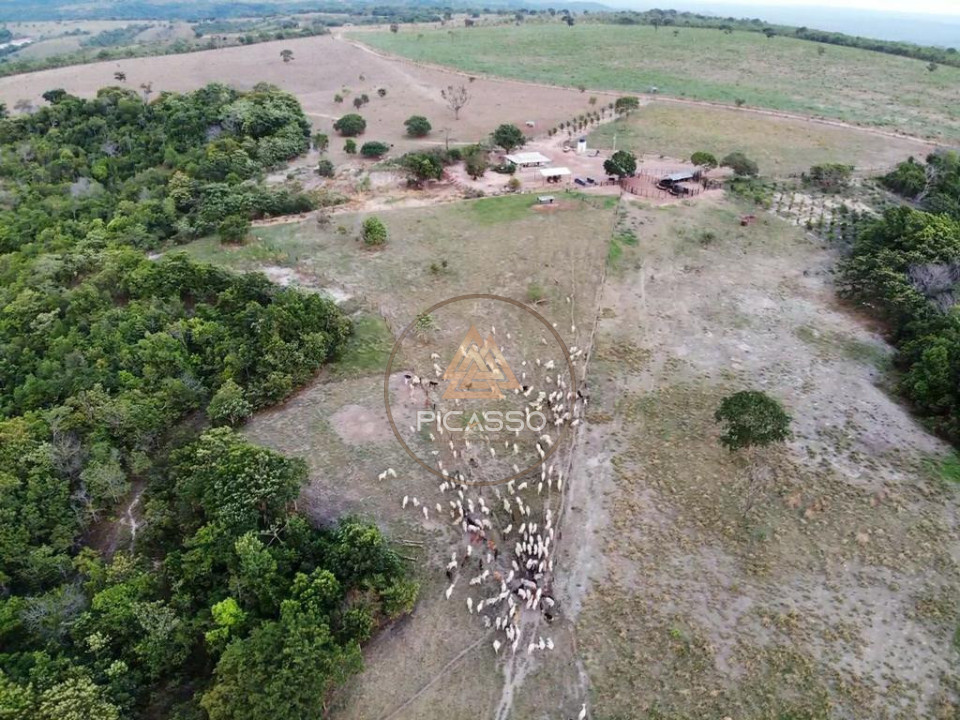 Imagens do imóveis FAZENDA PARA PECUÁRIA