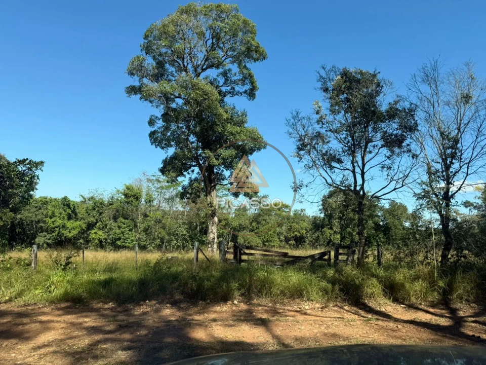 Imagens do imóveis Fazenda/Sítios/Chácaras À Venda 000 Poxoreu