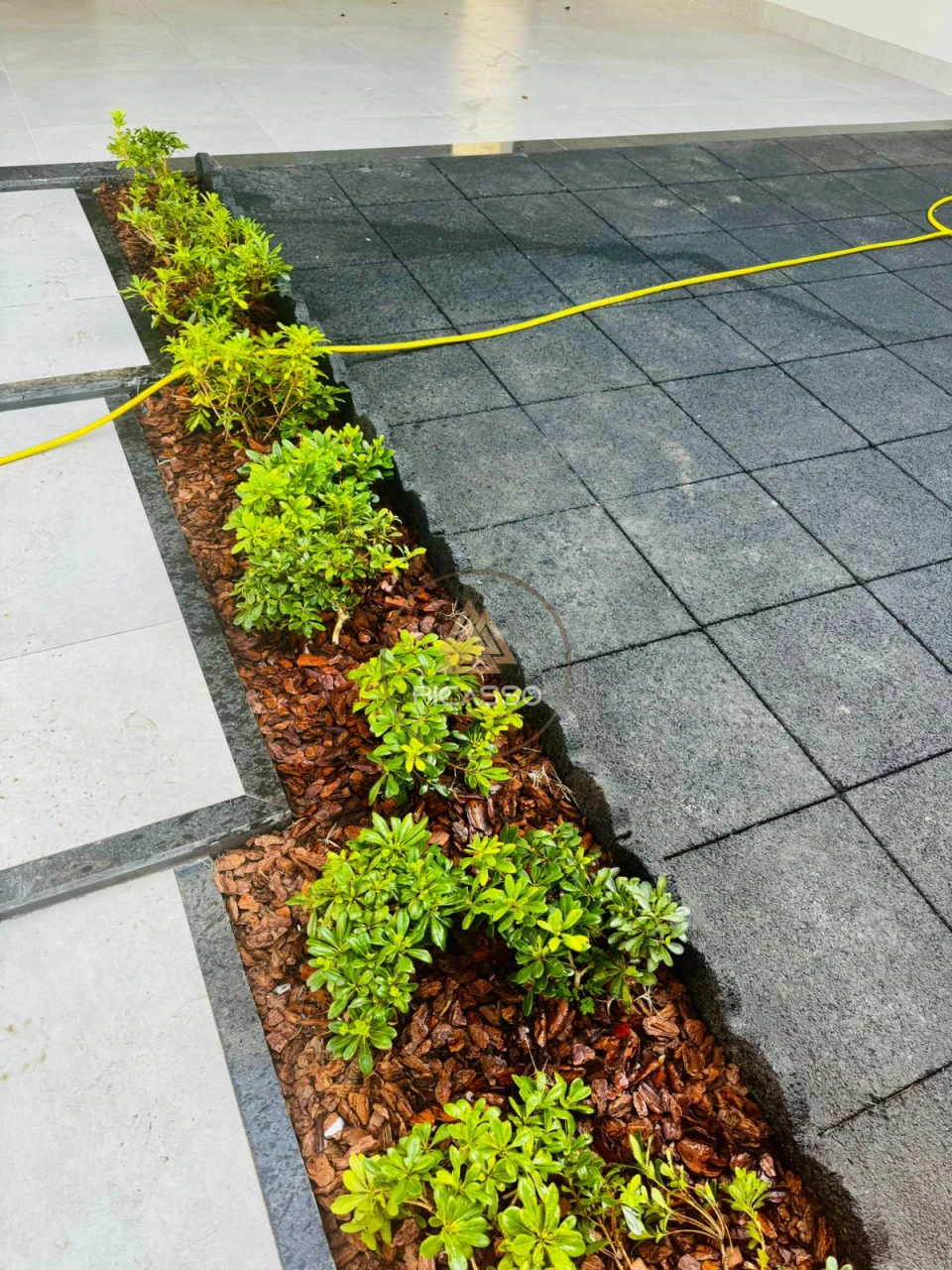 Imagens do imóveis Casa Á Venda Villa Gramado  Primavera Do Leste