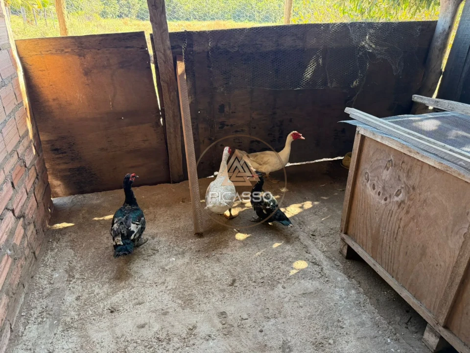 Imagens do imóveis Fazenda/Sítios/Chácaras À Venda 000 Poxoreu
