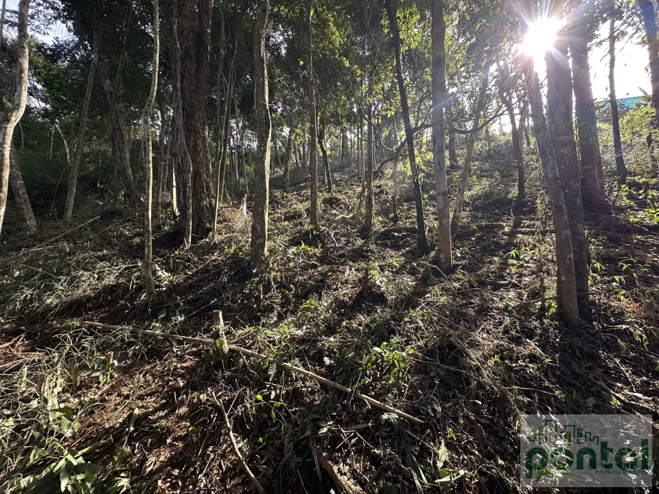 Imagens do imóveis Terreno À Venda Centro Nova Friburgo